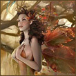 dragonfly_79